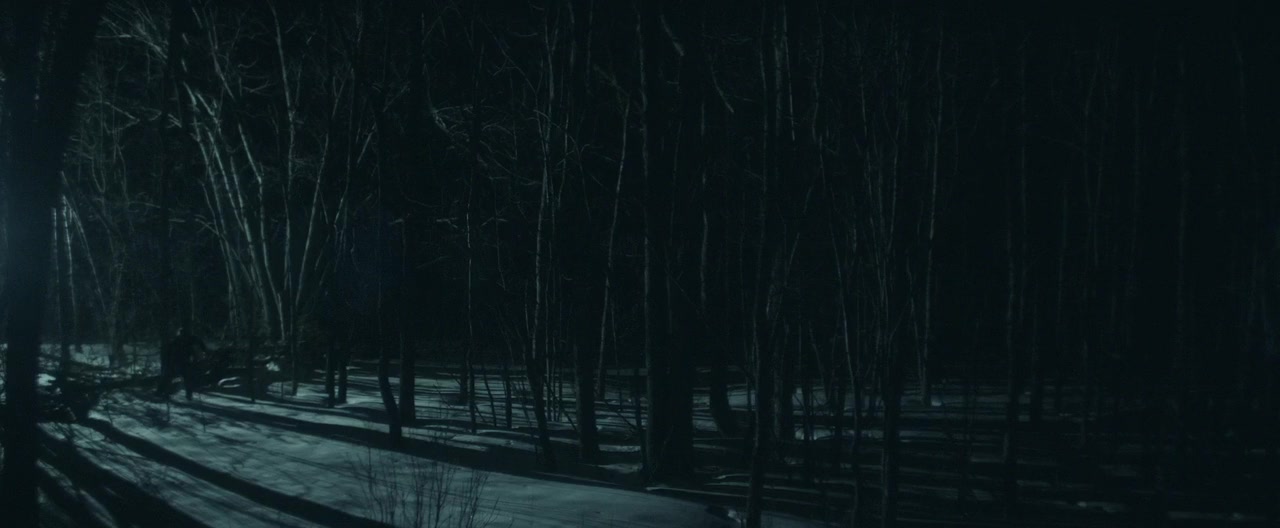 The Nights Before Christmas screenshot 3