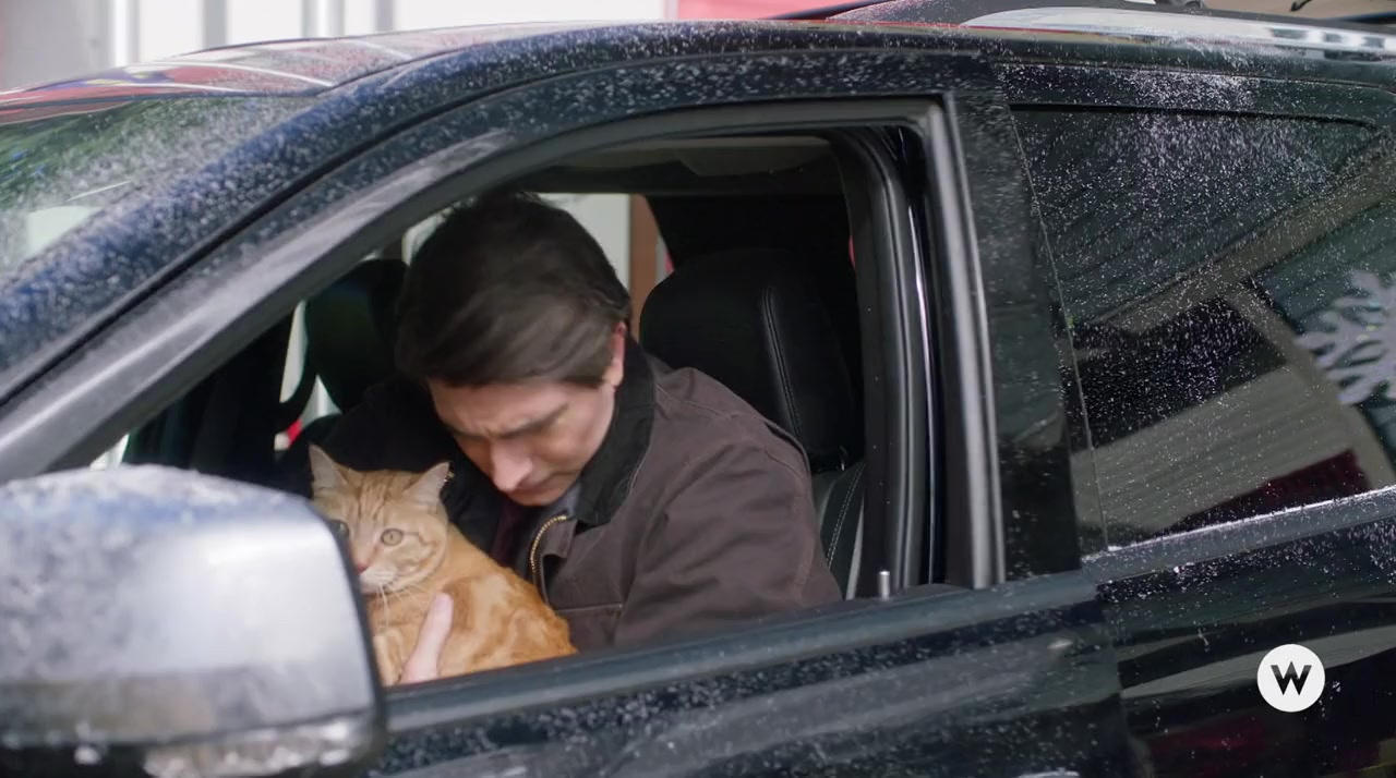 The Nine Kittens of Christmas screenshot 1