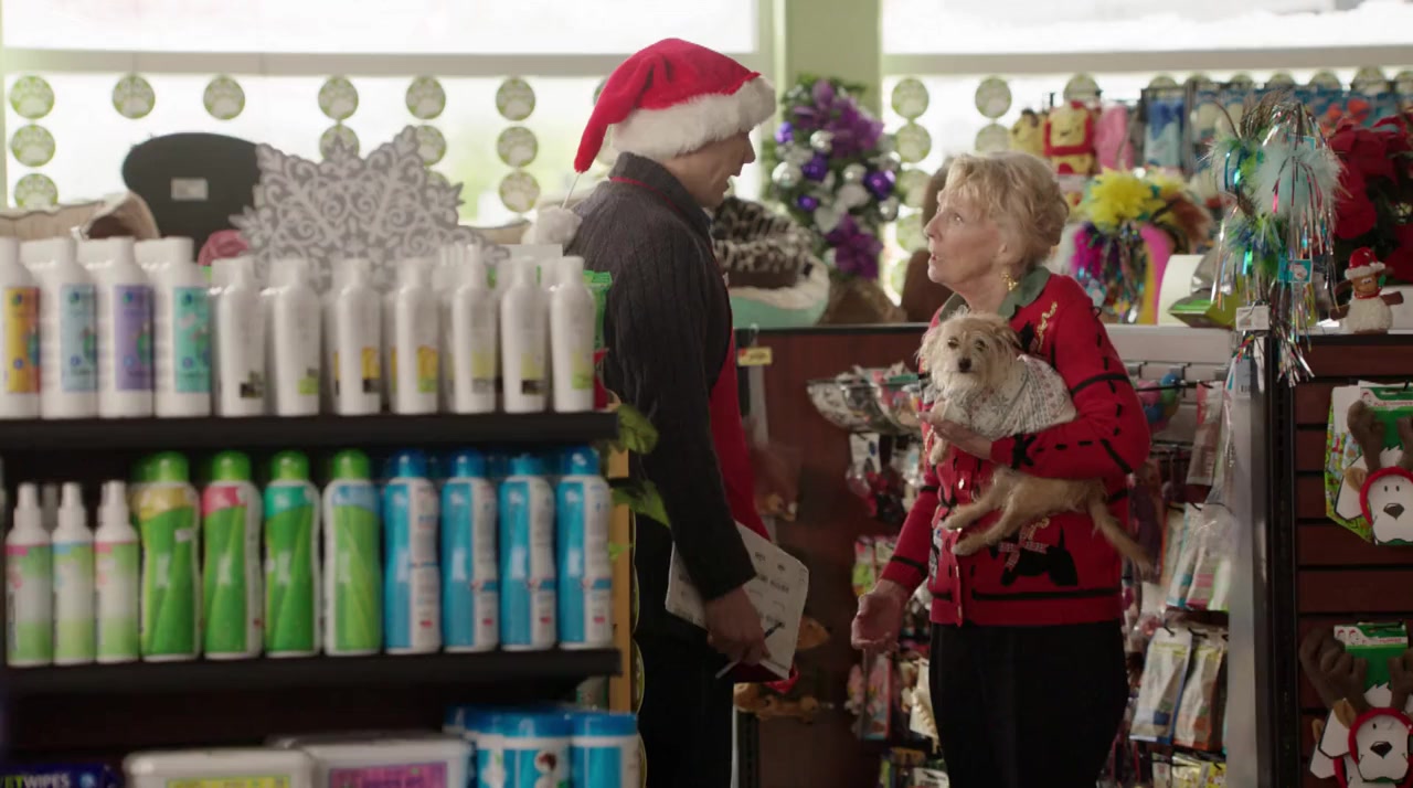 The Nine Lives of Christmas screenshot 1