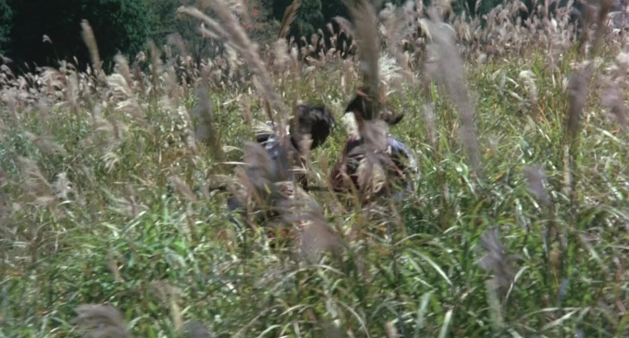 Iga ninpôchô screenshot 1