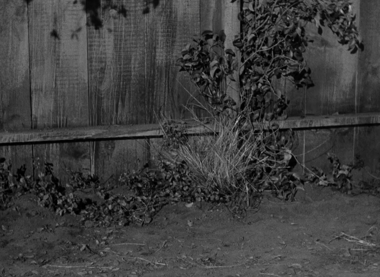 The Noose Hangs High screenshot 2