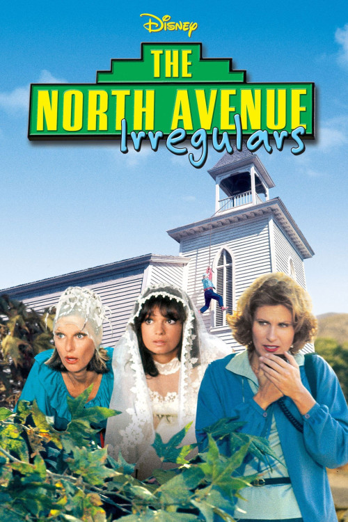 The North Avenue Irregulars (1979) poster