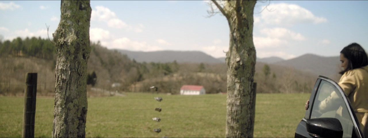 The Notorious Finster screenshot 3