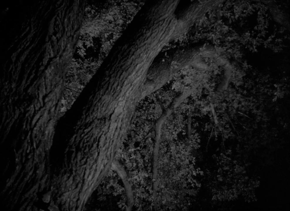 The Other Side of Madness screenshot 1