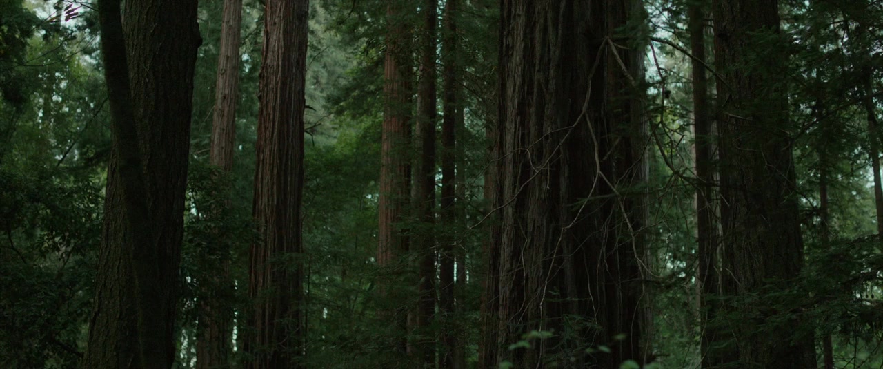 The Out-Laws screenshot 1