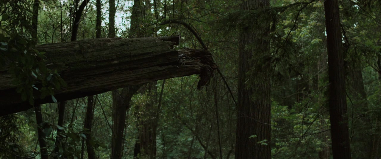 The Out-Laws screenshot 2
