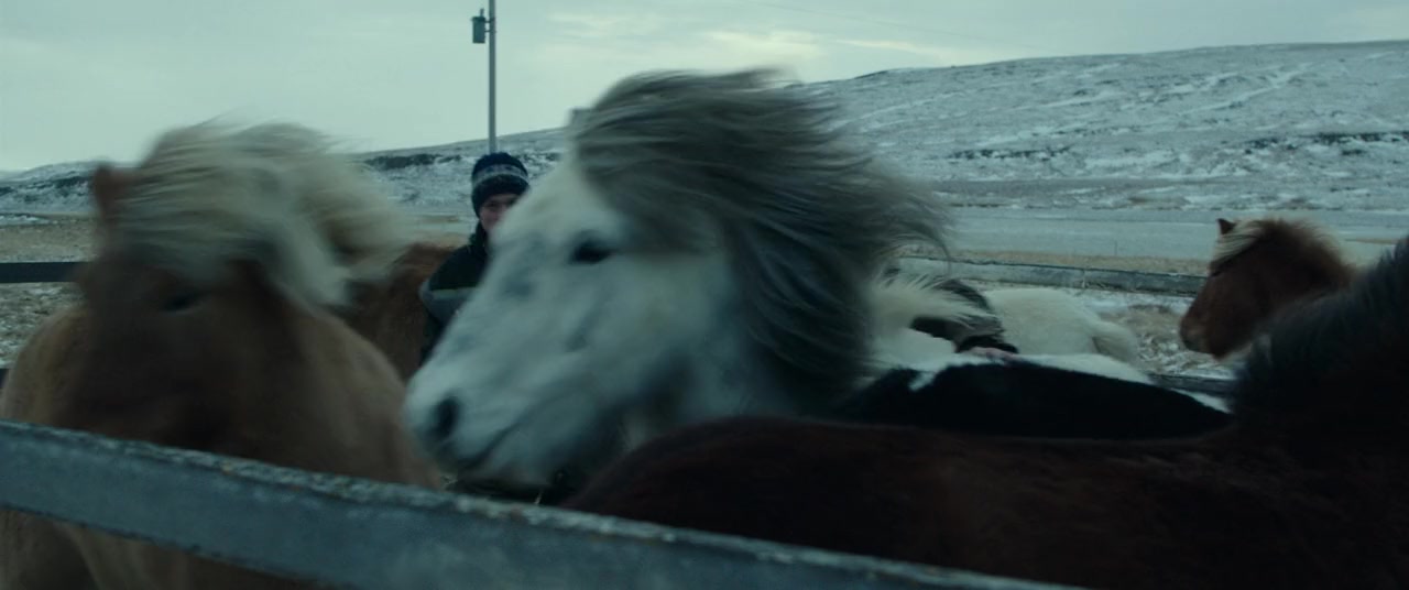 Eiðurinn screenshot 3