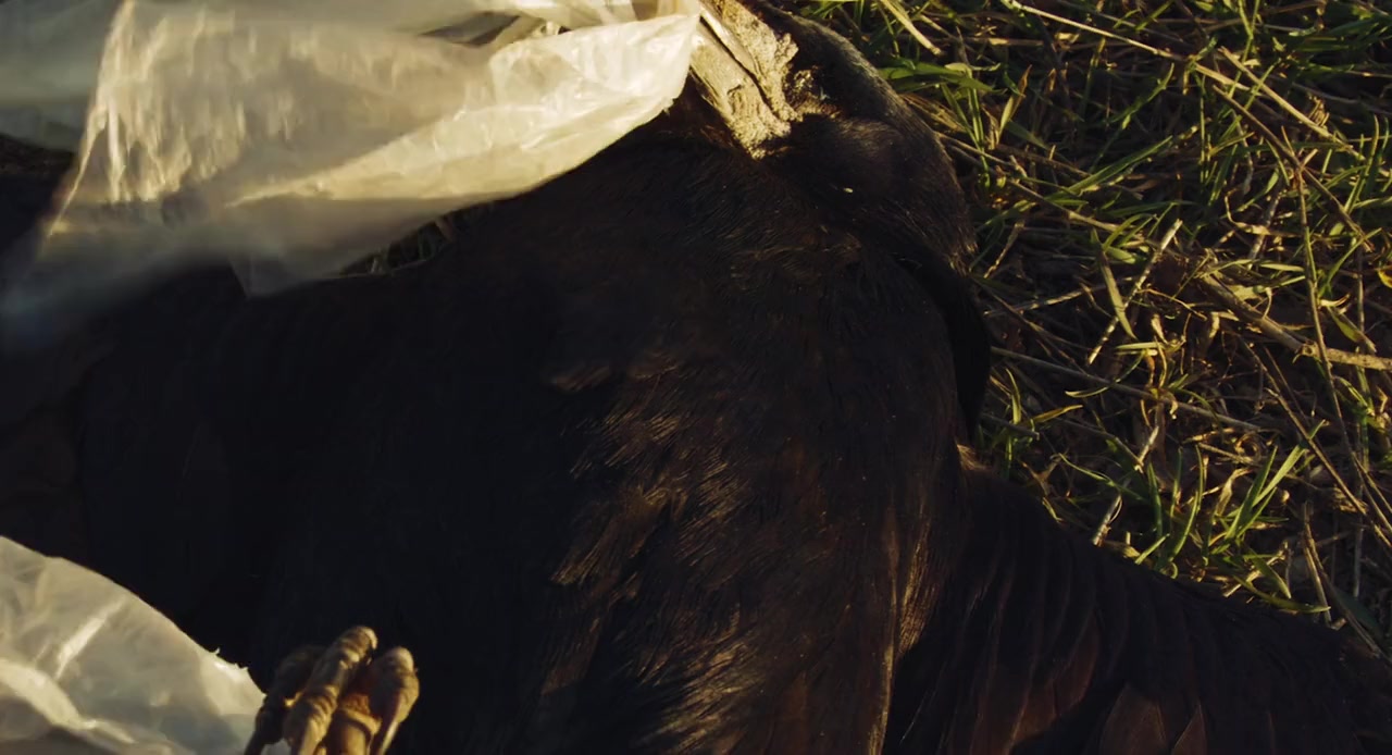 The Obscured screenshot 1