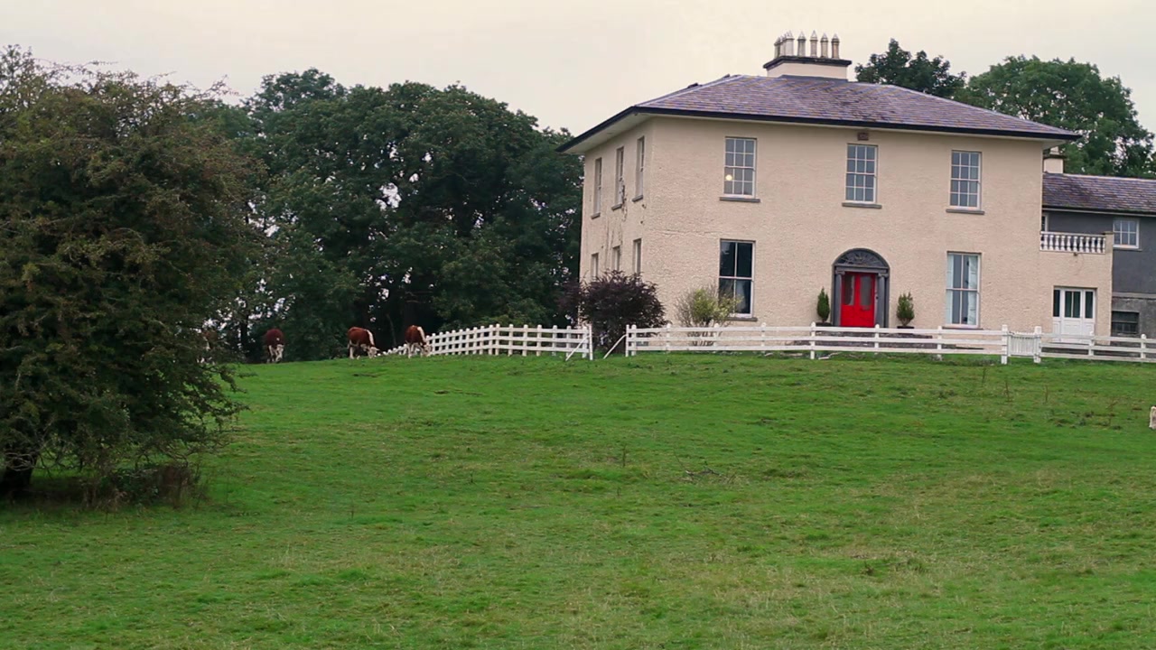 The O'Briens screenshot 1