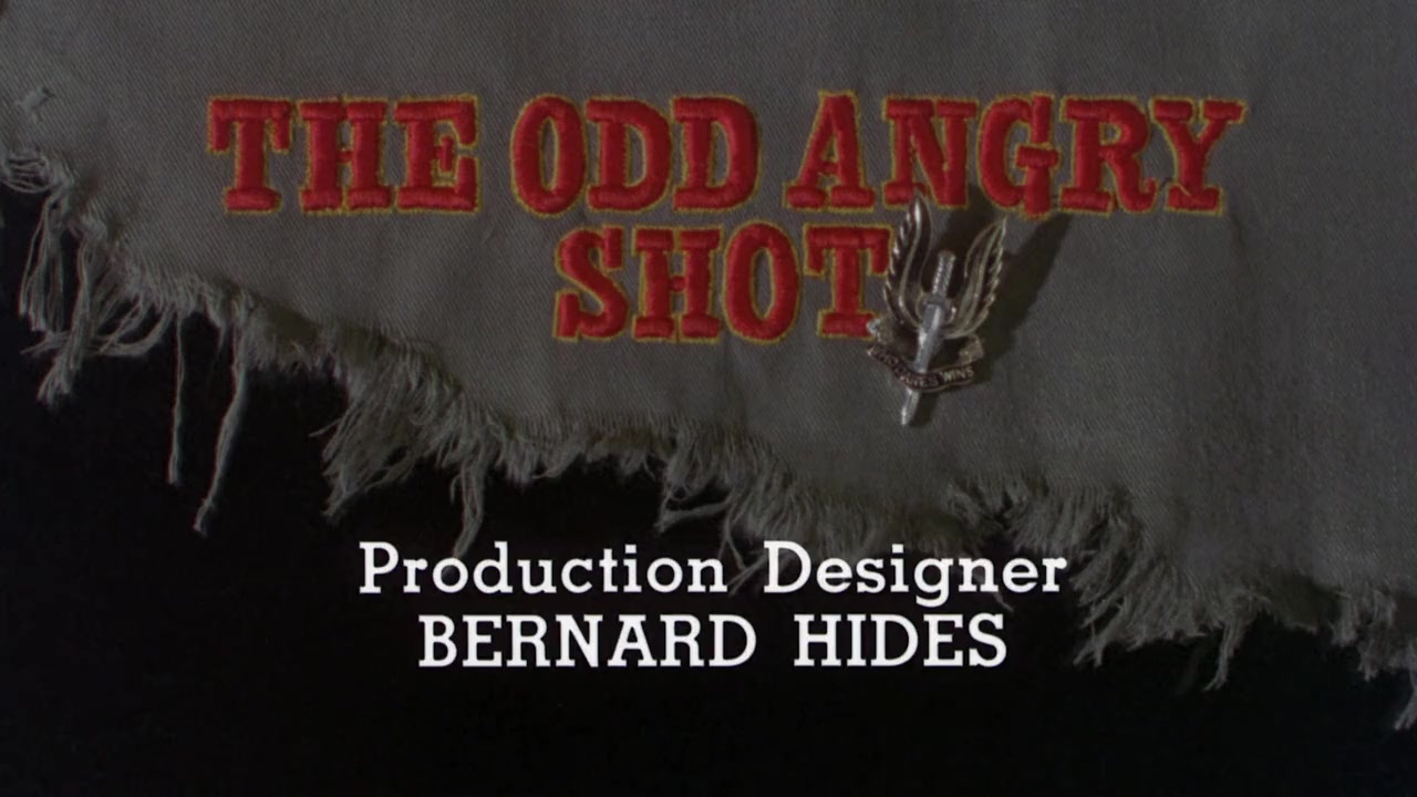 The Odd Angry Shot screenshot 3