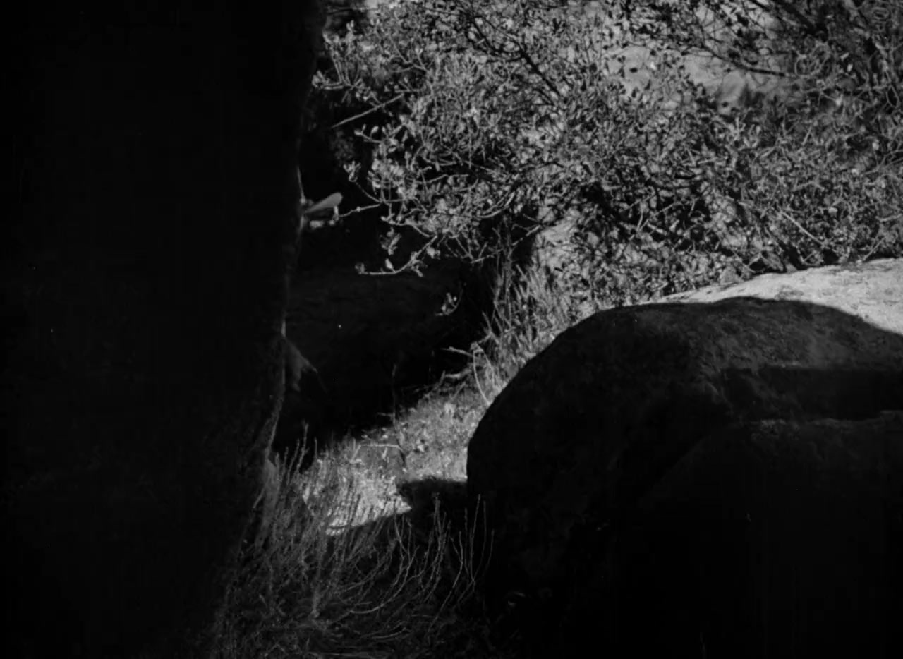 The Oklahoma Kid screenshot 3