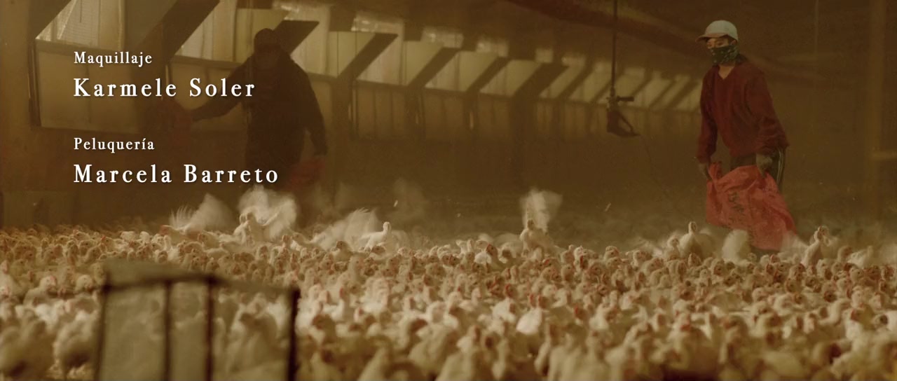 El olivo screenshot 3