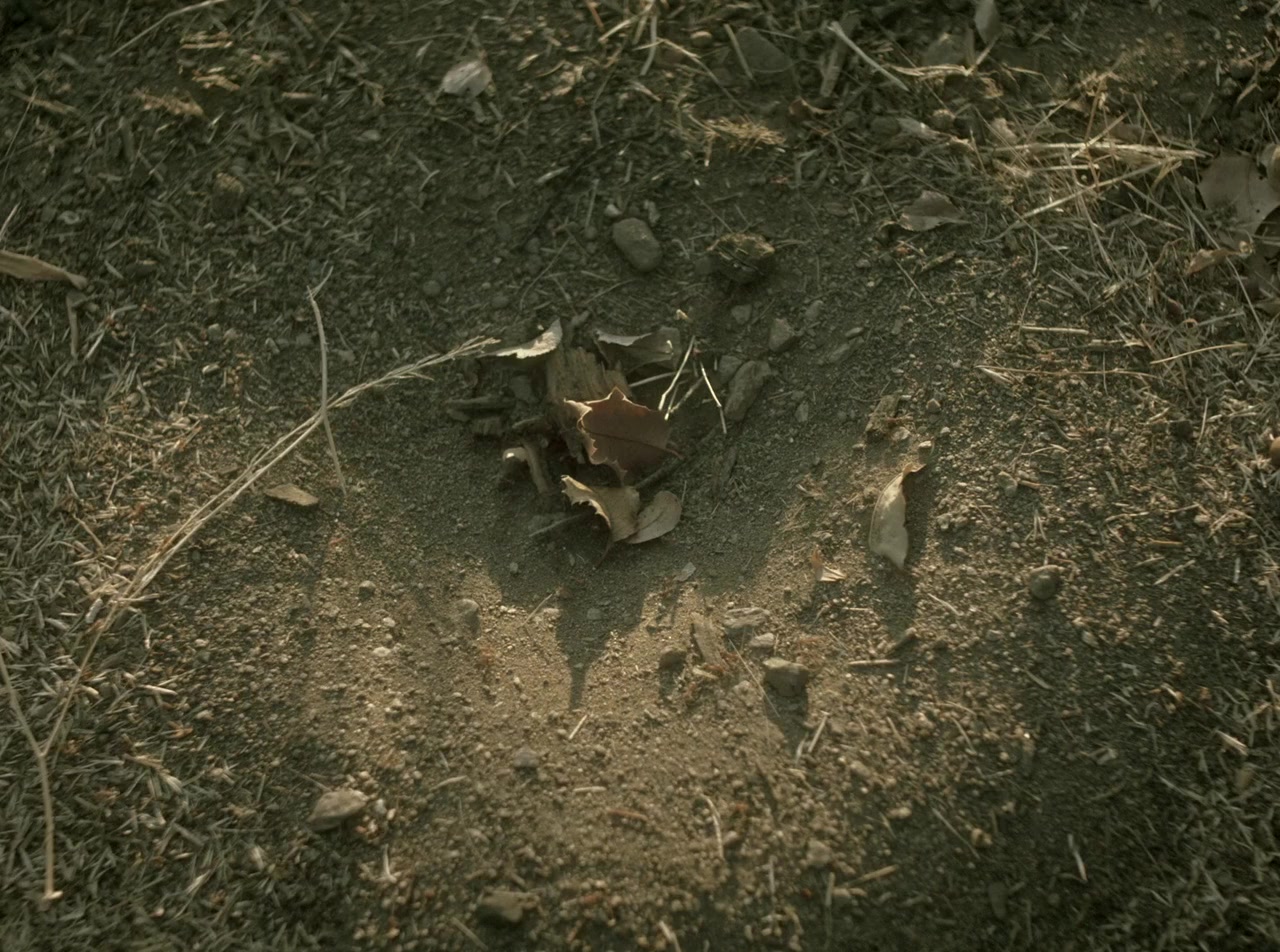 The One You Feed screenshot 1