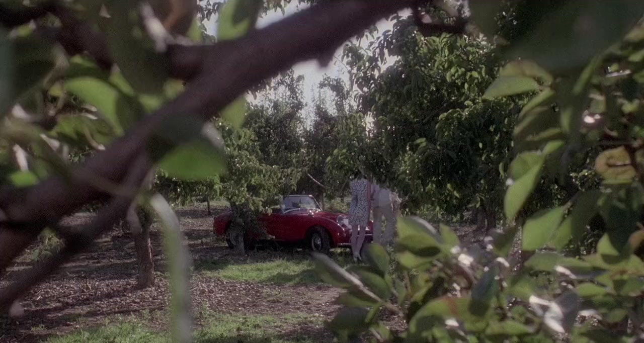 The Orchard End Murder screenshot 3