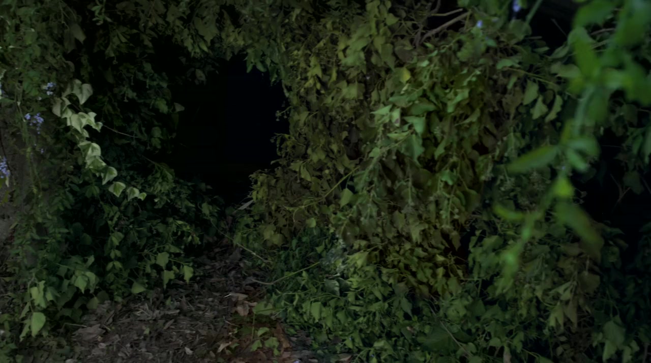 The ABCs of Death screenshot 1