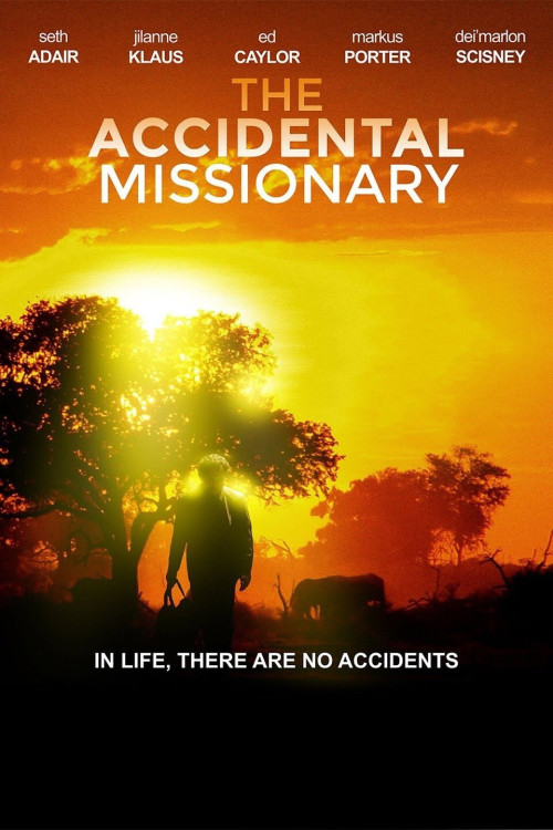 The Accidental Missionary (2012) poster