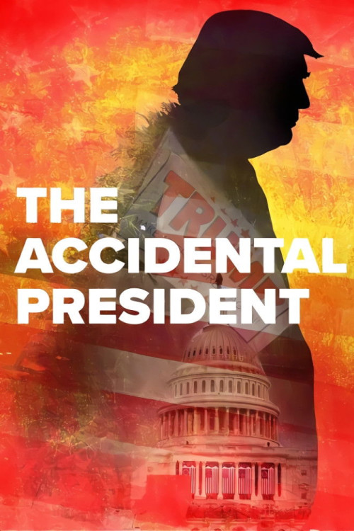The Accidental President (2020) poster