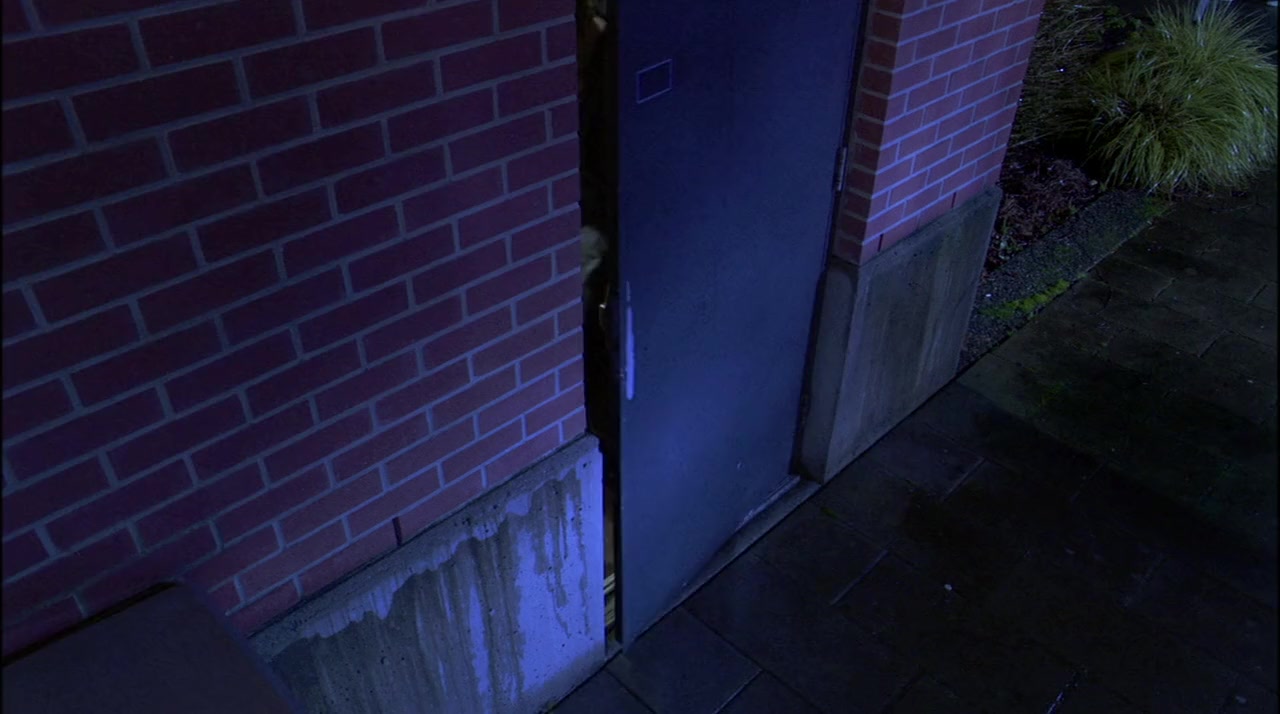 The Accidental Witness screenshot 1