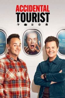 The Accidental Tourist (2025) poster