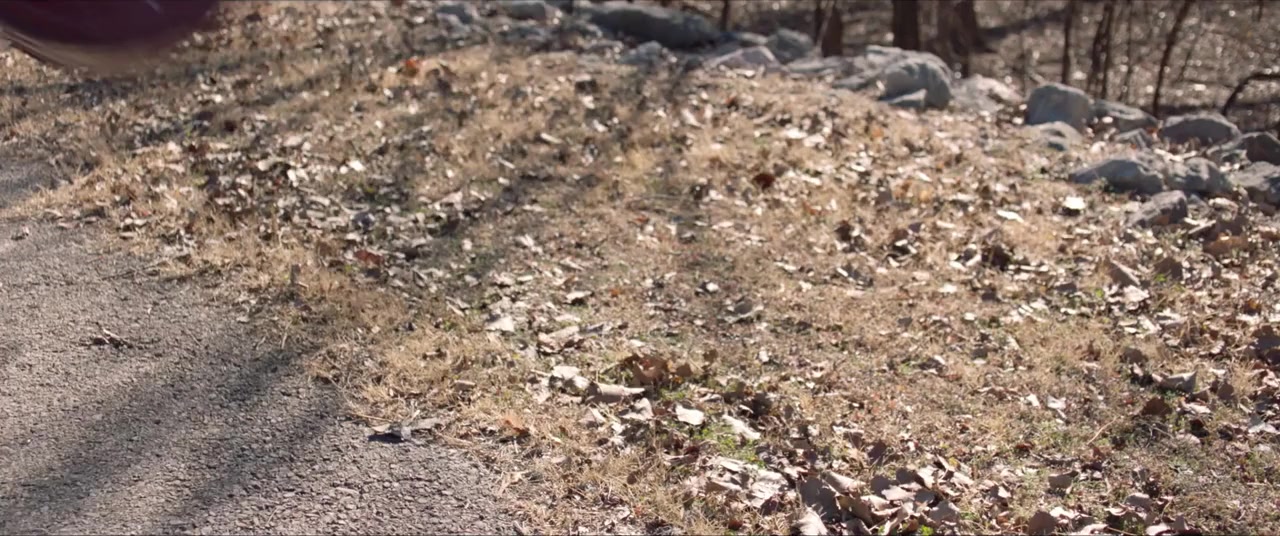The Adventures of Jurassic Pet: The Lost Secret screenshot 1