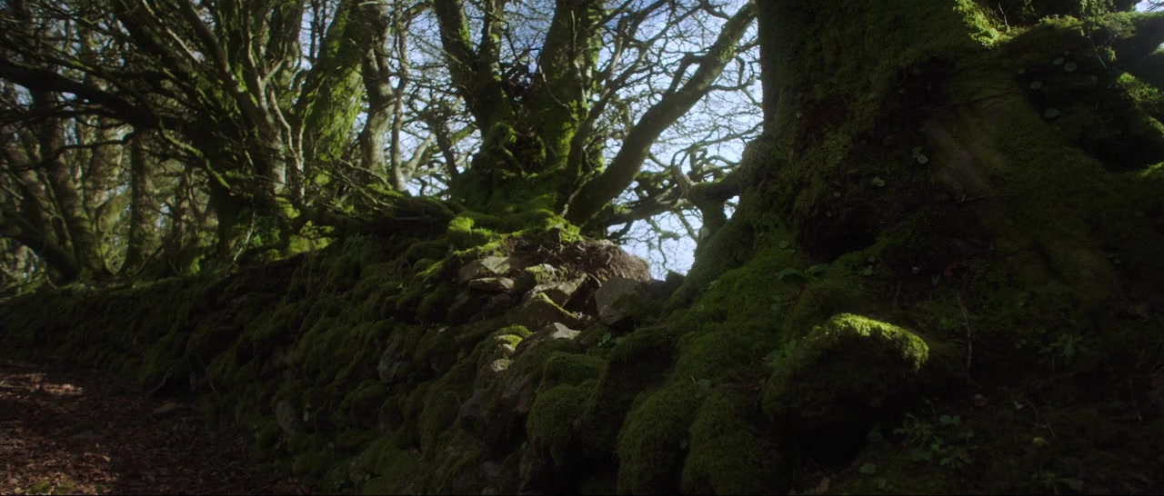 The Adventures of Maid Marian screenshot 3
