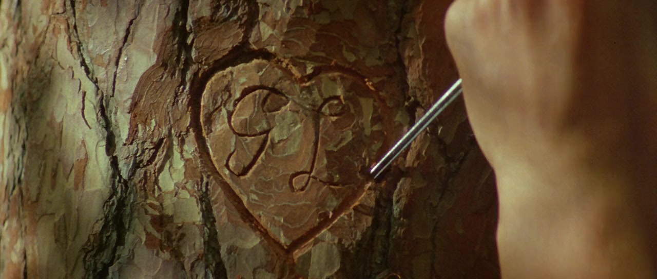The Adventures of Pinocchio screenshot 1