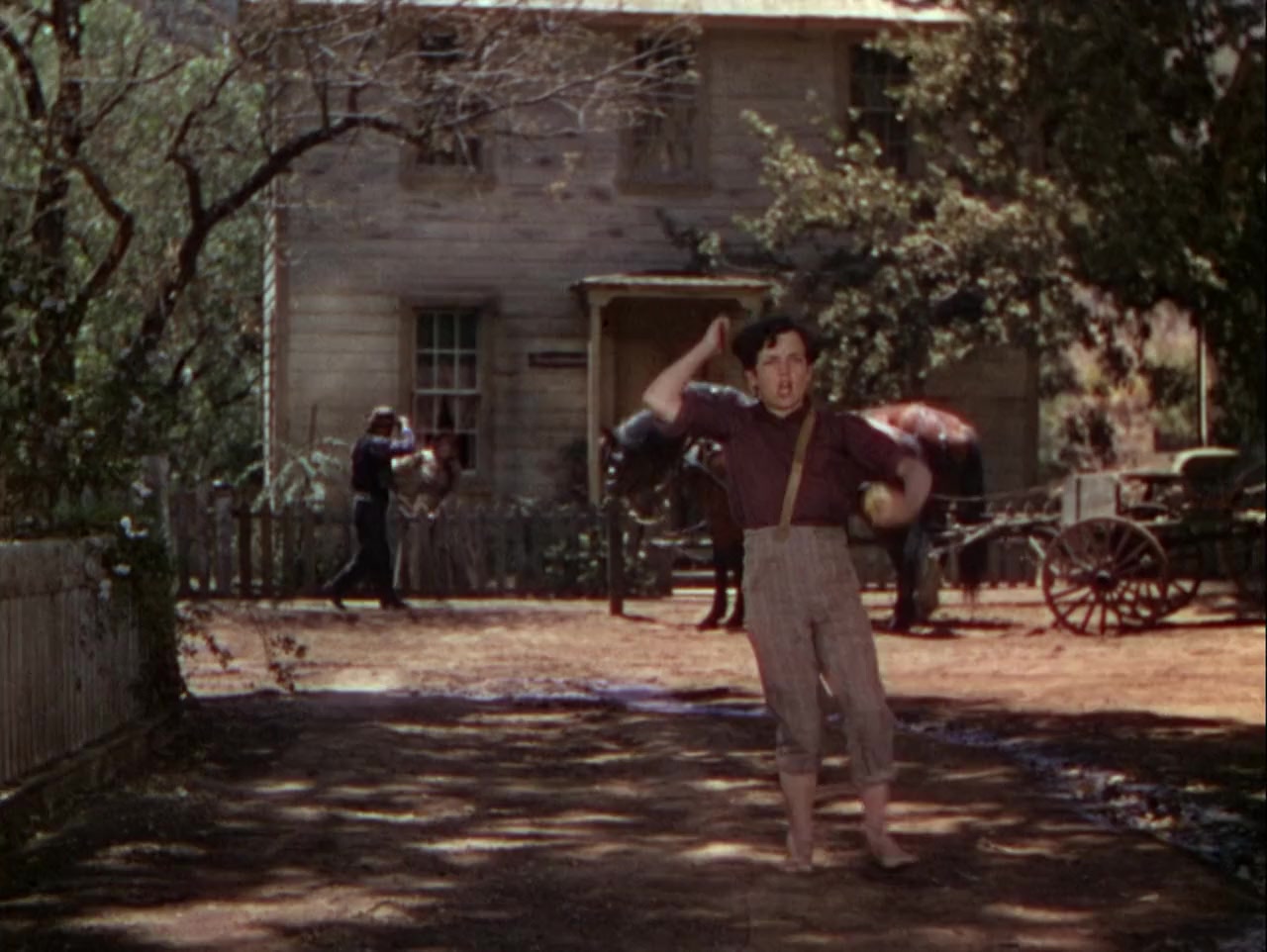 The Adventures of Tom Sawyer screenshot 3