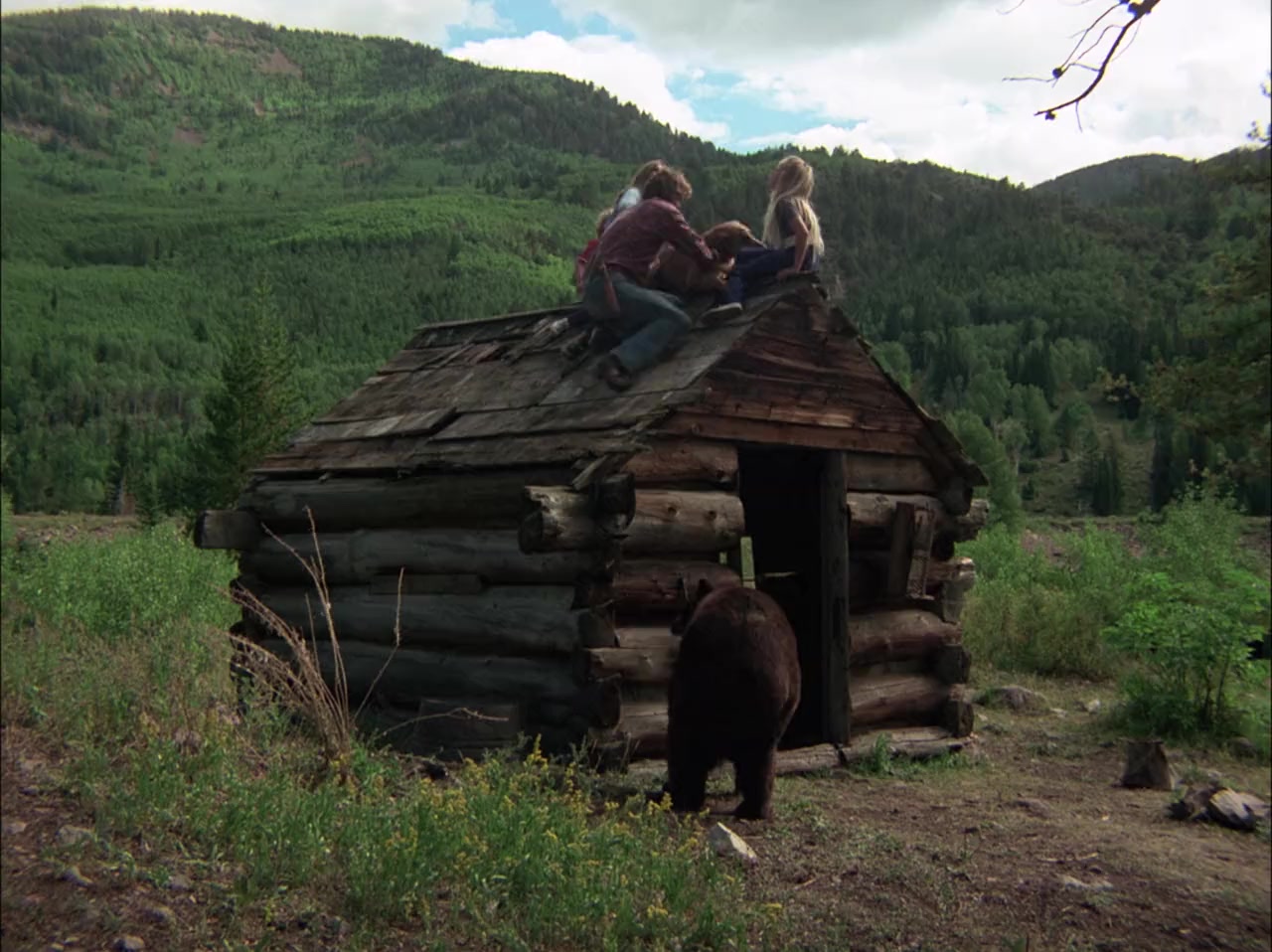 The Adventures of the Wilderness Family screenshot 3