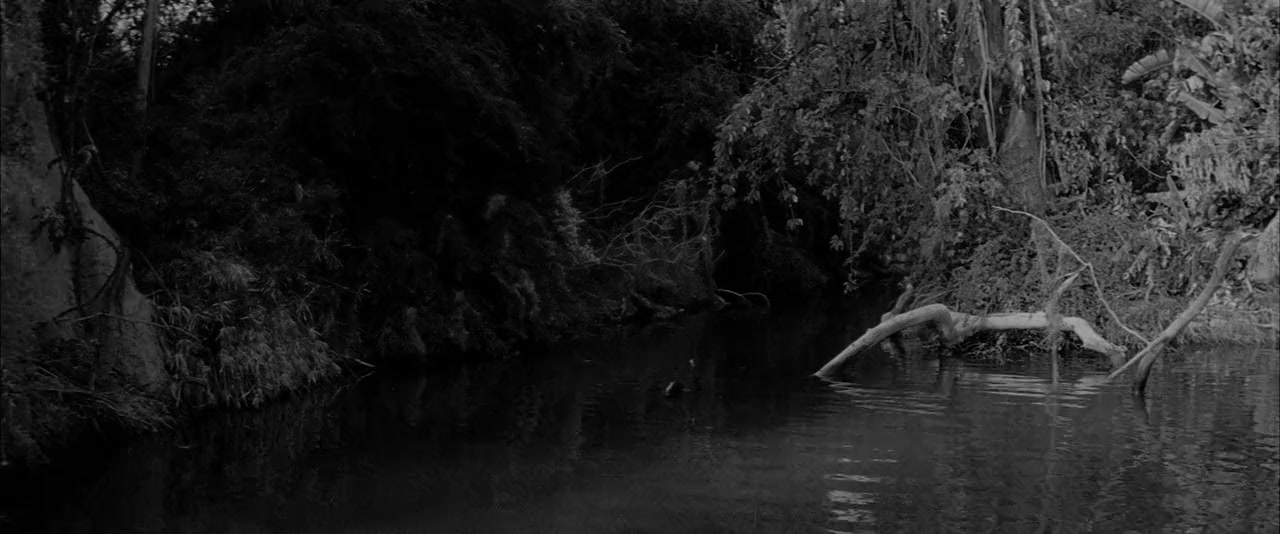 The Alligator People screenshot 2
