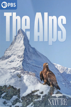 Die Alpen (2020) poster