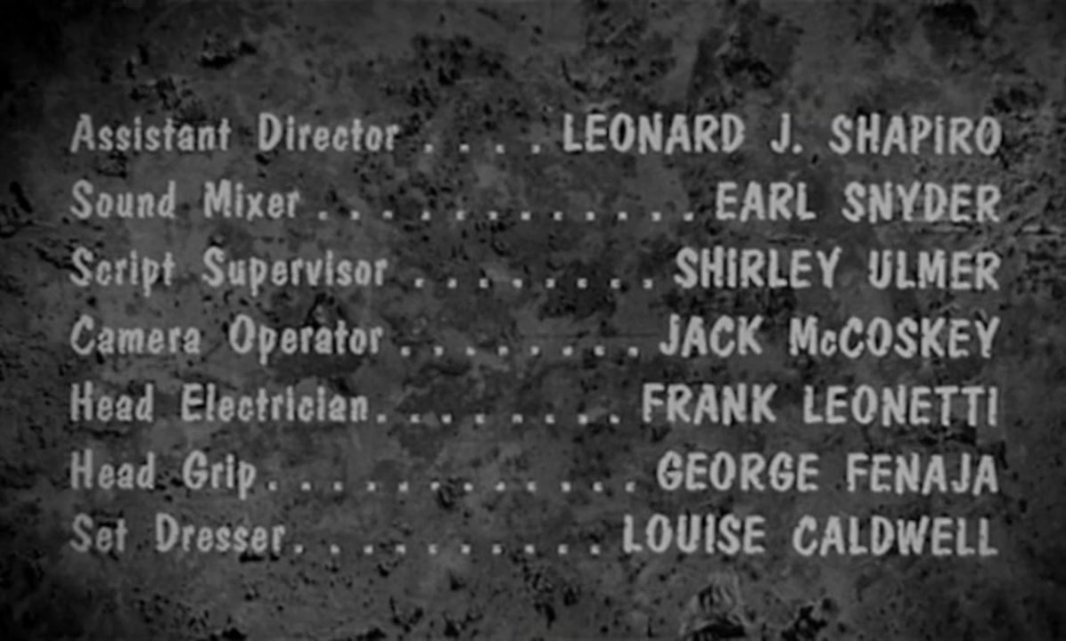 The Amazing Transparent Man screenshot 1
