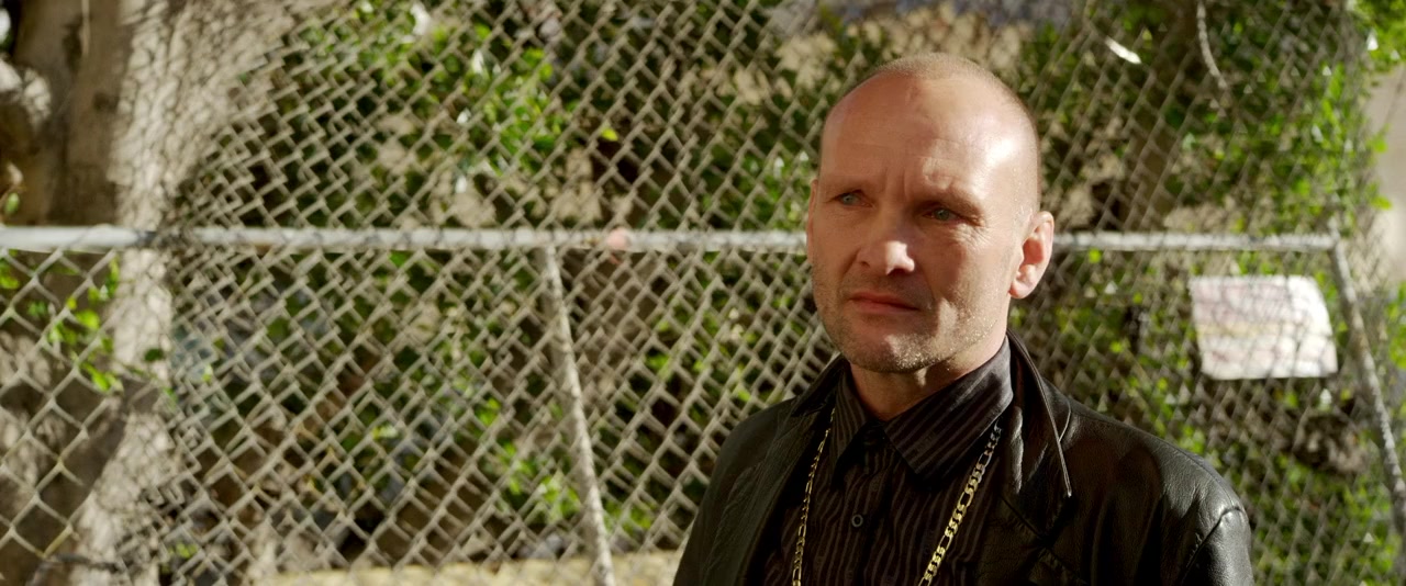 The American King screenshot 1
