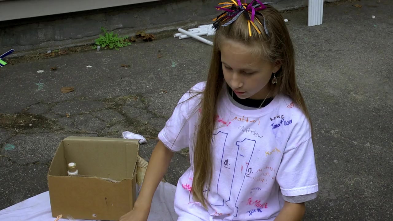 The American Scream screenshot 2