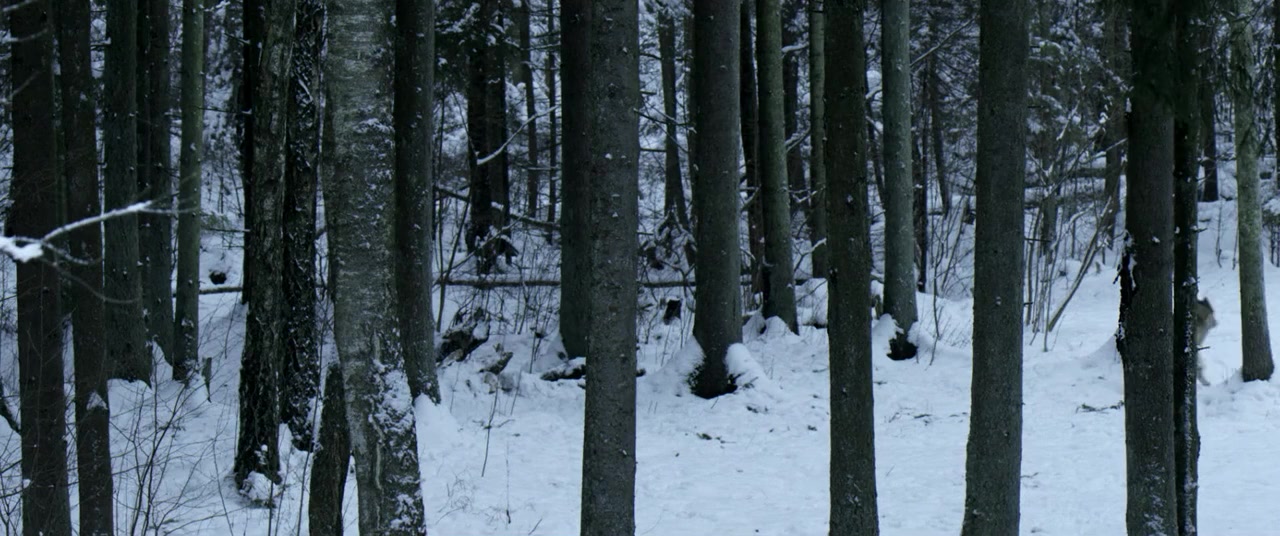 The Ancient Woods screenshot 3