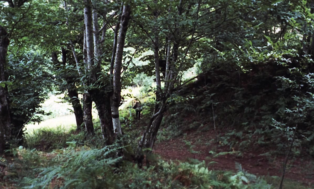 El bosque del lobo screenshot 1