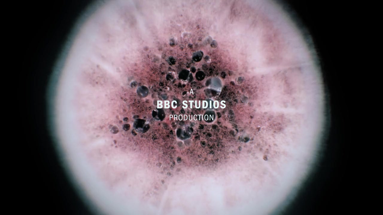 The Anthrax Attacks screenshot 3