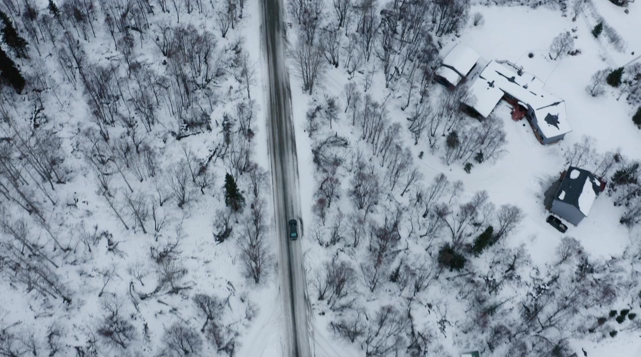 The Antidote screenshot 1