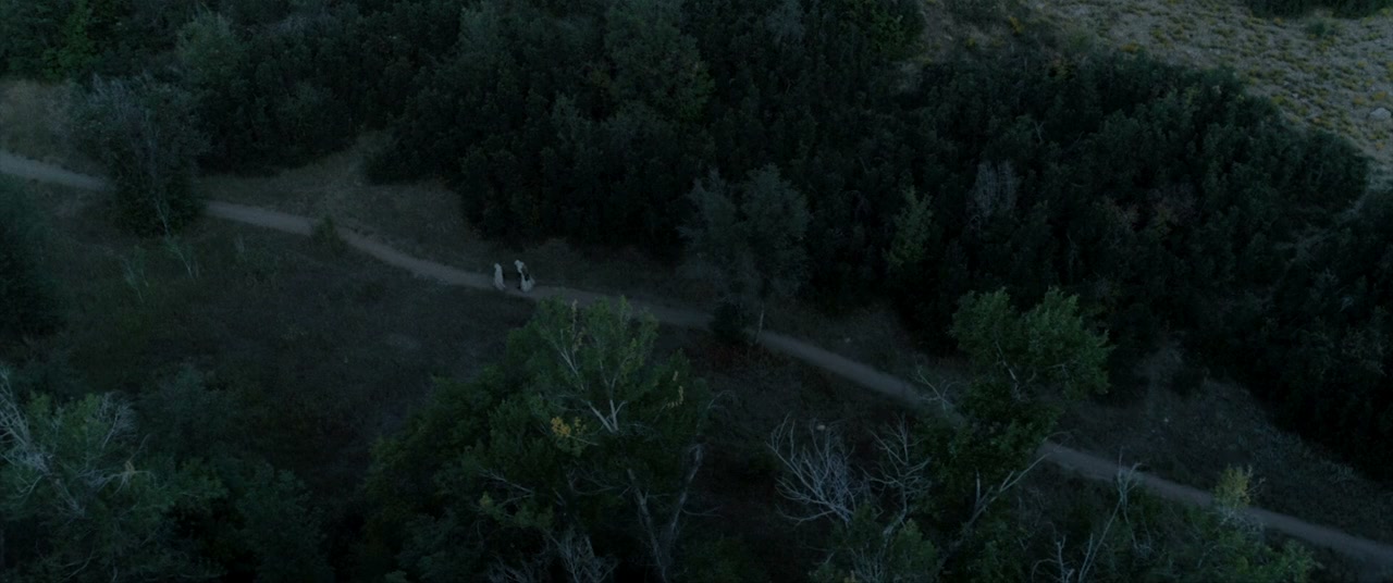 The Appearance screenshot 3