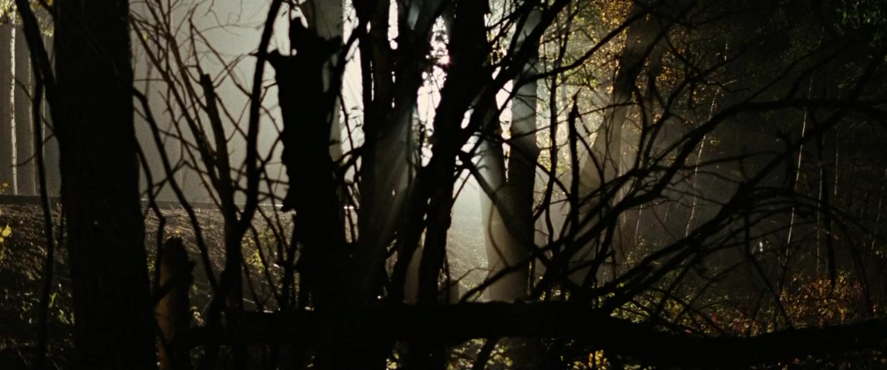 The Assassination of Jesse James by the Coward Robert Ford screenshot 2