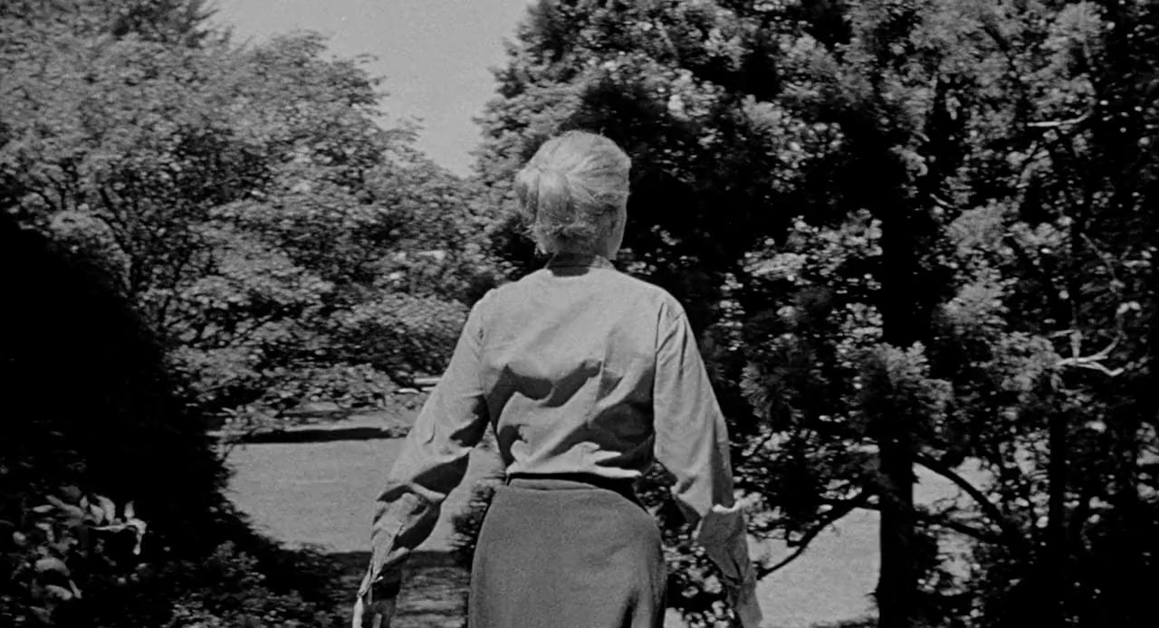 The Burglar screenshot 1
