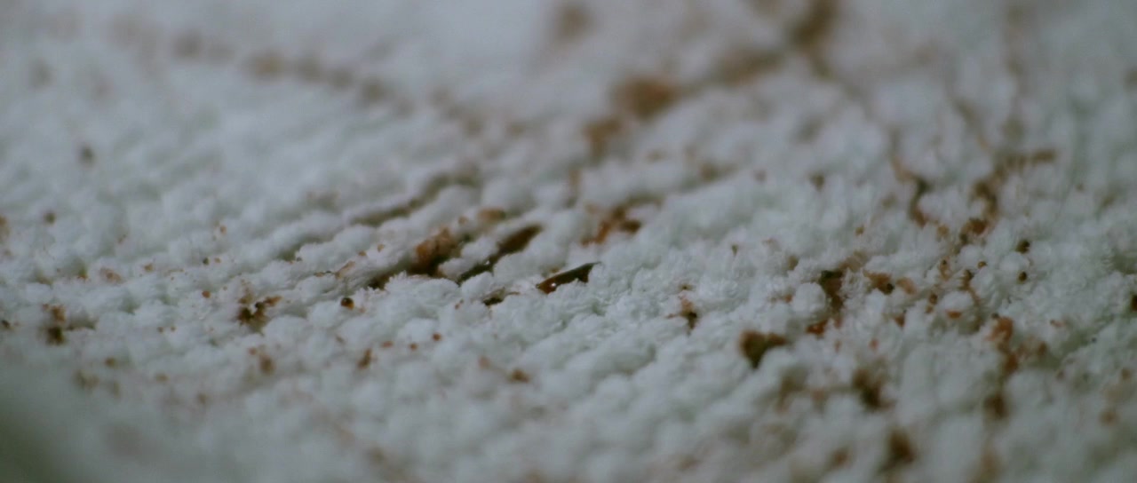 Braxton screenshot 3