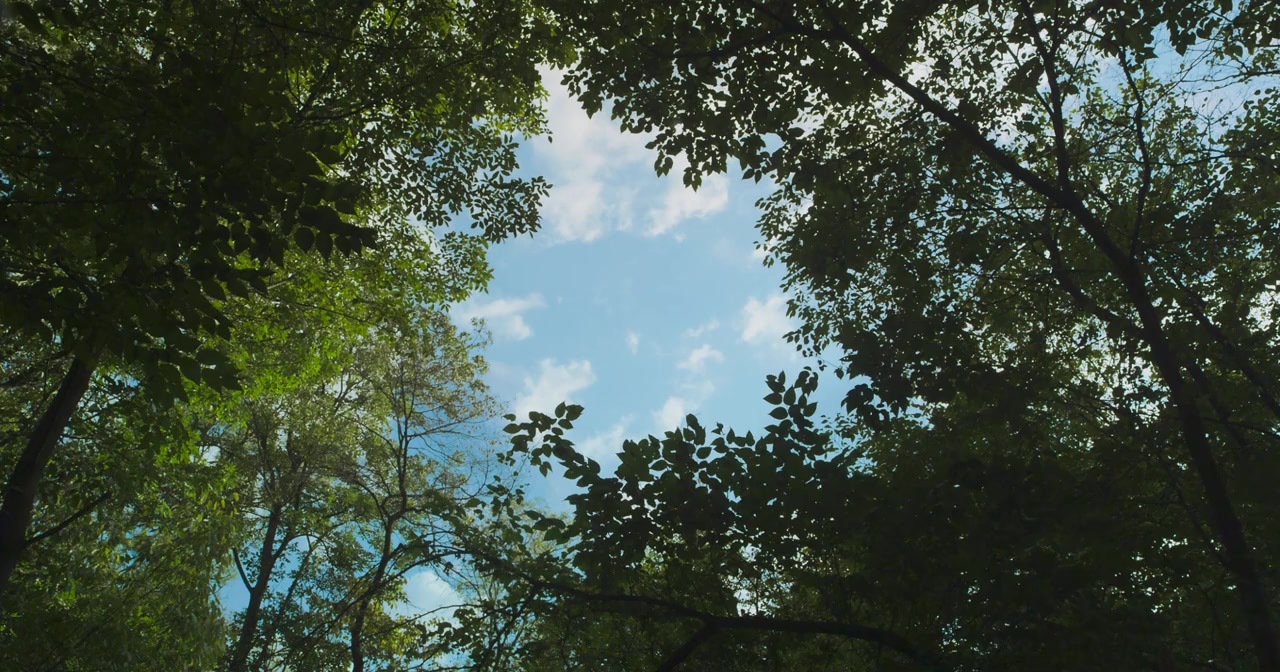 Jug-yeo-ju-neun Yeo-ja screenshot 1