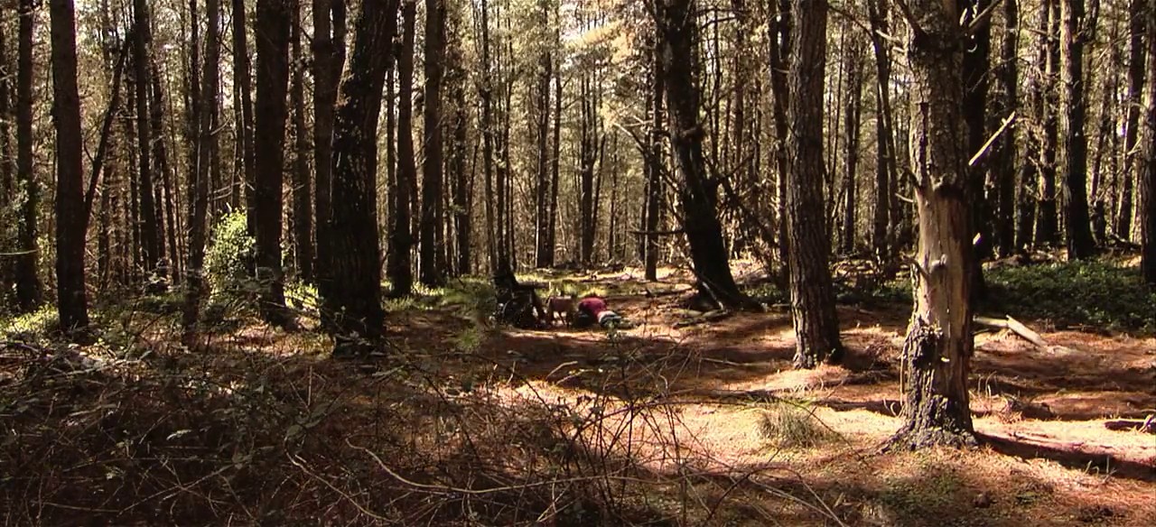 The Backpacker screenshot 1