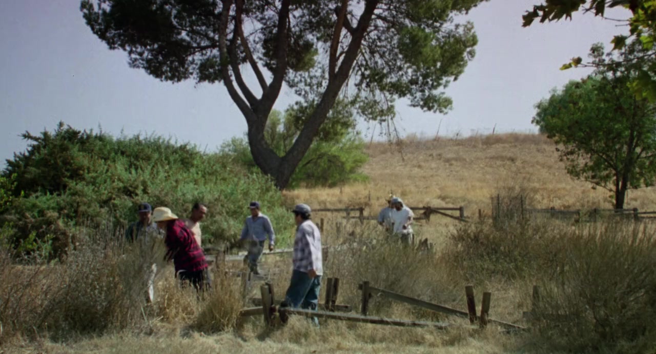 The Bad Pack screenshot 2