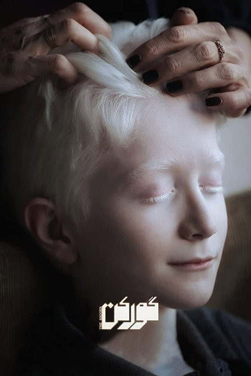 The Badger (2020) poster
