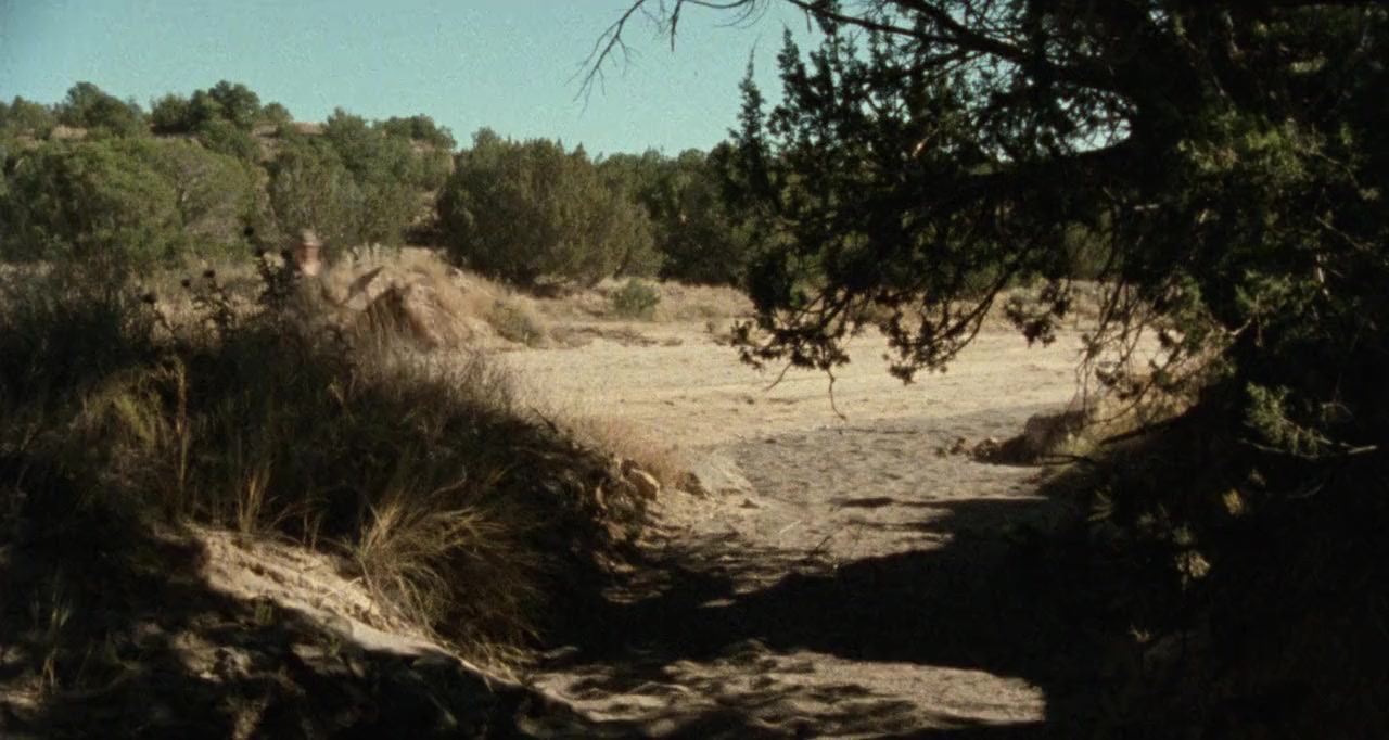 American Playhouse The Ballad of Gregorio Cortez screenshot 1