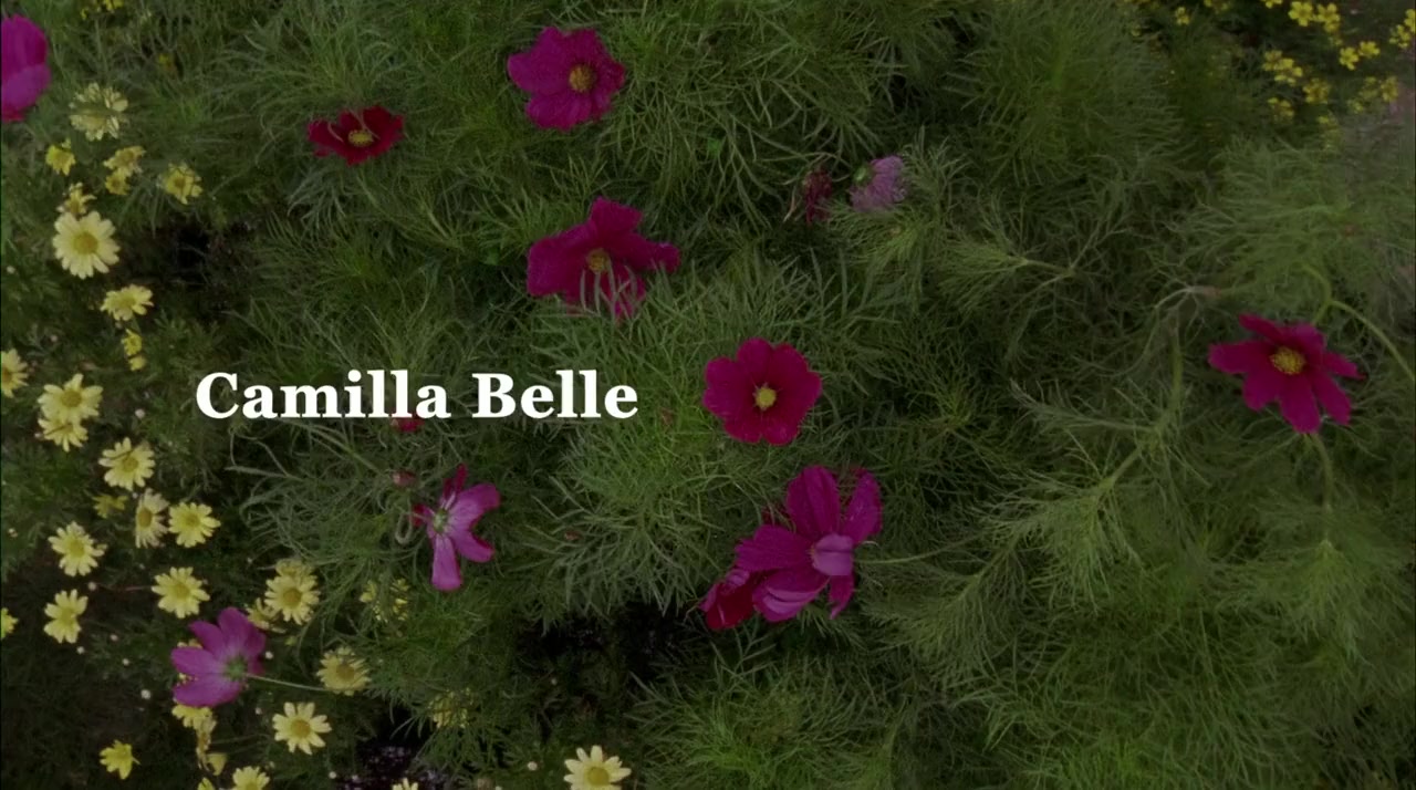 The Ballad of Jack and Rose screenshot 2