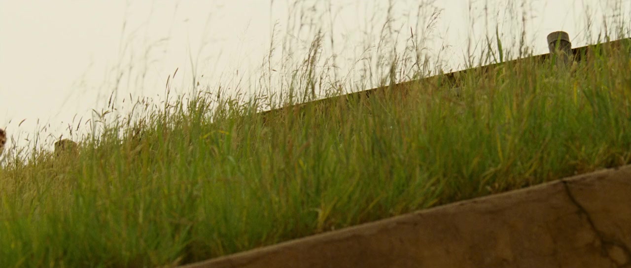 The Bang Bang Club screenshot 2