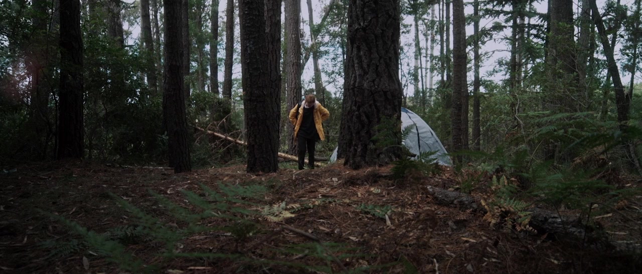 The Banished screenshot 1