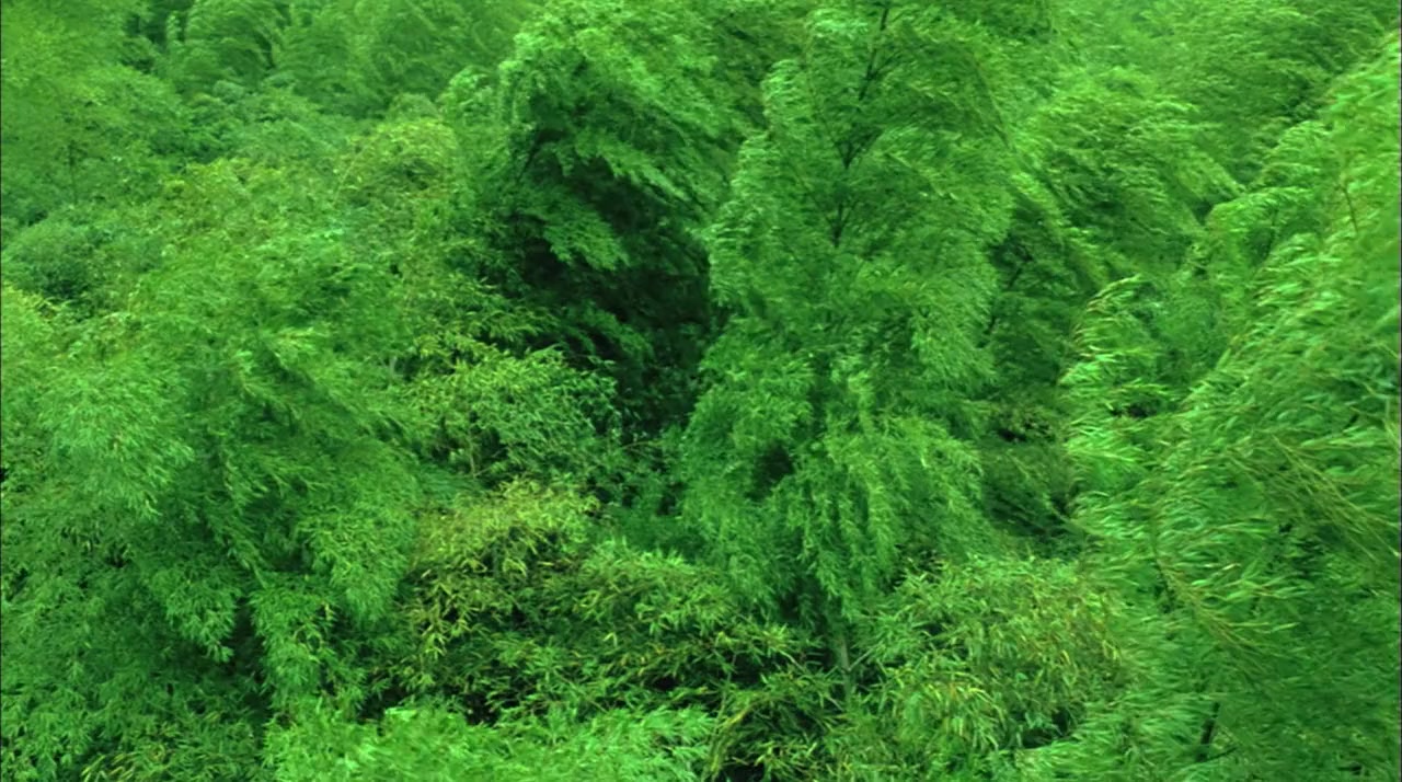 Ye yan screenshot 1